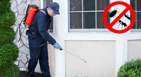 Gökçeada Fare İlaçlama böcek ilaçlama ve haşere kontrolü — ilaclama-tr.com